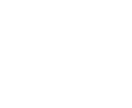 American Ancestors logo