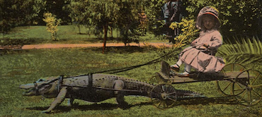 Color-tinted vintage photograph of a young child in a bonnet sitting in a small wooden cart that is being pulled across a lawn by an alligator wearing a harness.