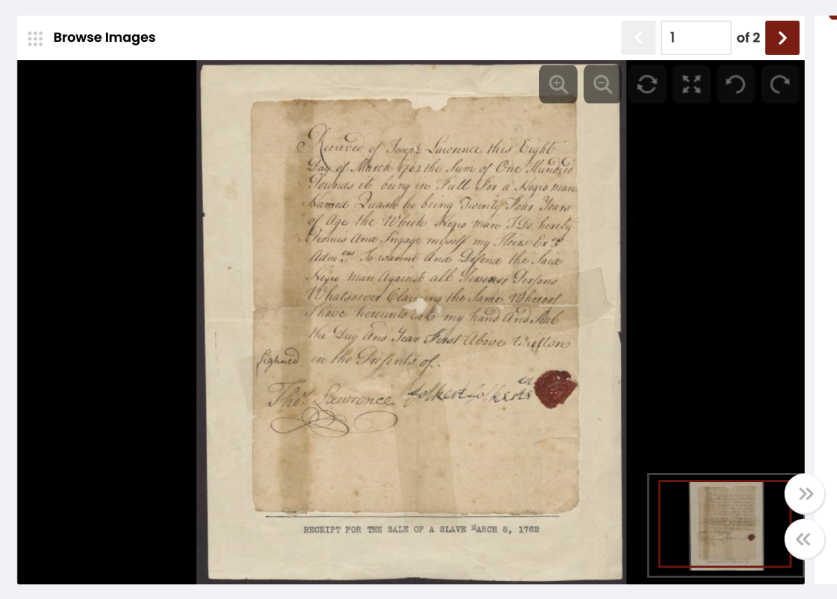 Focused view of an individual document page and the additional viewing options.
