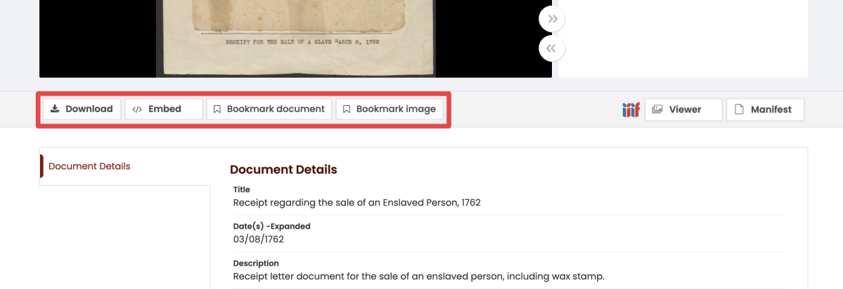 Section highlighted underneath the document viewer to show additional download options.
