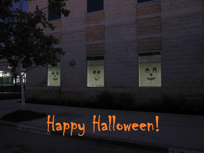 Storytime at the Mercer Botanic Gardens