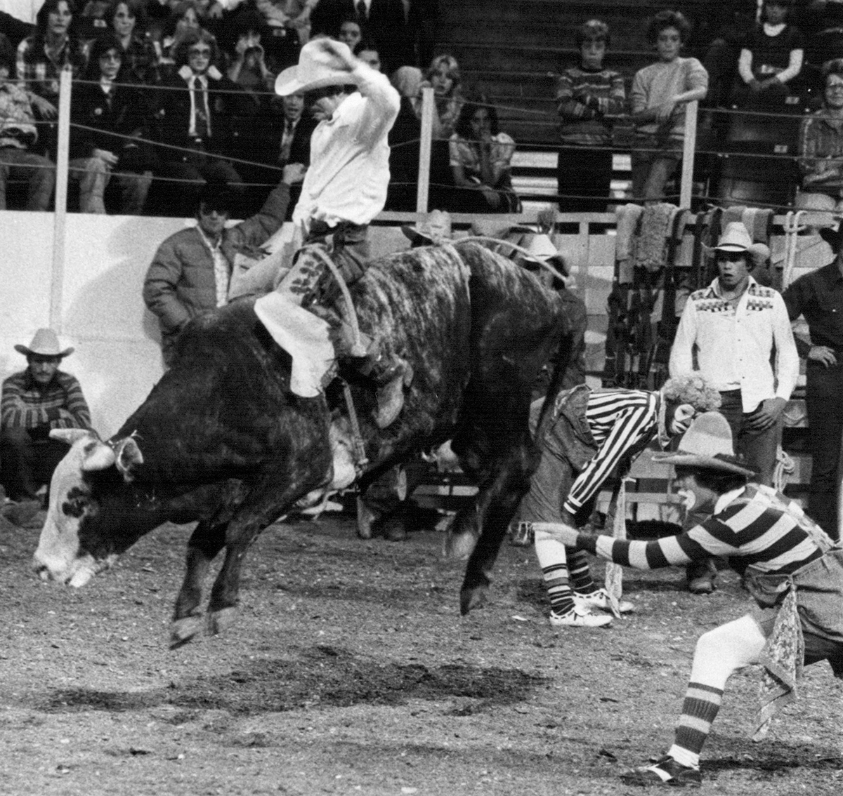 Man riding a bull in front of an audience while clowns and others look on