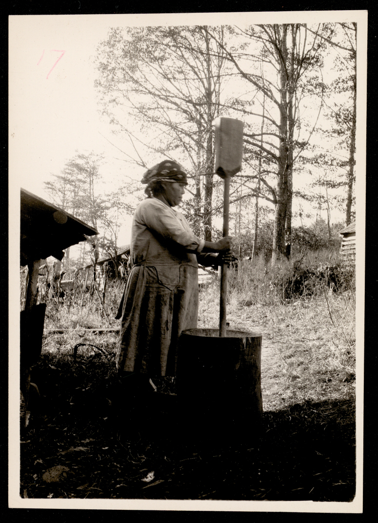 A photo of an indigenous woman standing outdoors pounding corn.
