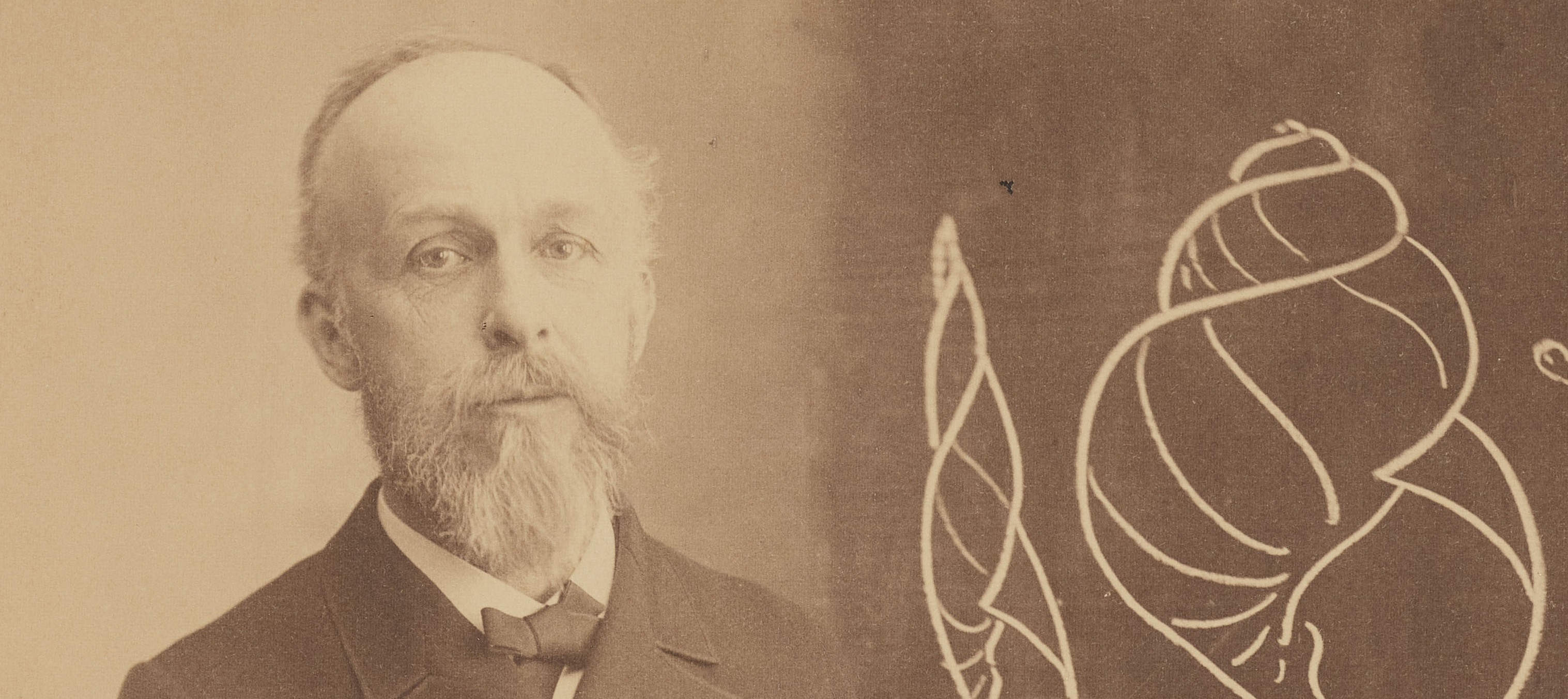 Edward S. Morse standing next to a black board with the chalk image of a mollusk