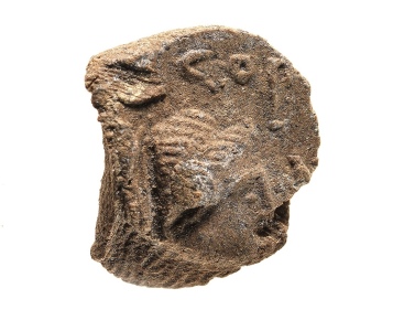 SMar_0070. This sealing (the impression, on a piece of clay, made by a seal to seal a document) depicts a head of Apollo wearing a diadem (headband), with the Seleukid-kings-era date written in Greek letters which is equivalent to 137/6 BCE. It&rsquo;s quite small, the largest preserved portion of the clay measures 13mm long and the seal would have been c. 11mm long. Photo by Clara Amit.