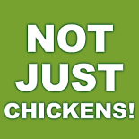 quartex create digital collections