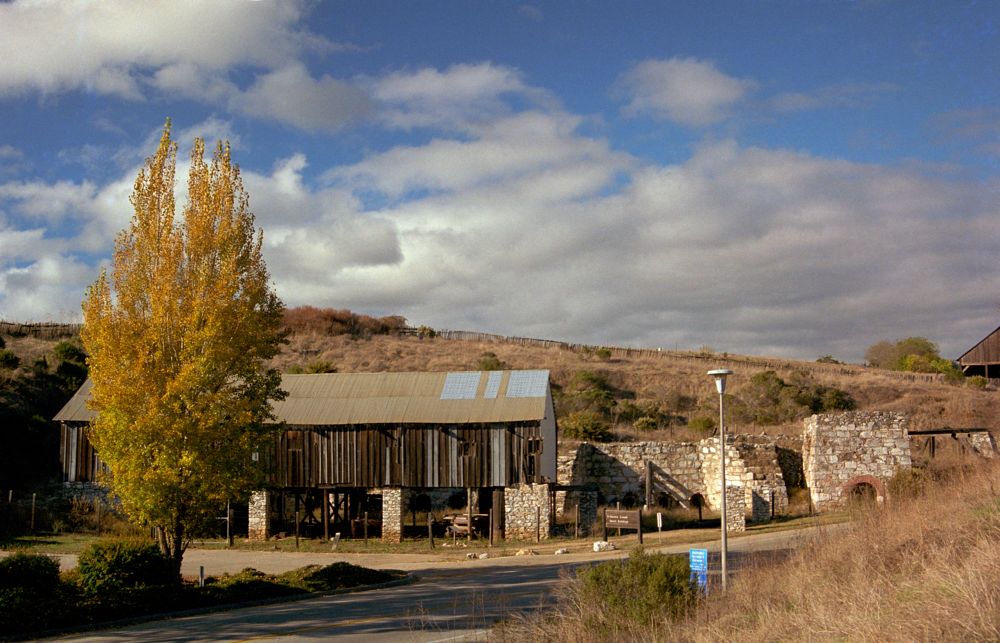 Building on UCSC campus with tree beside it, skyline behind. 