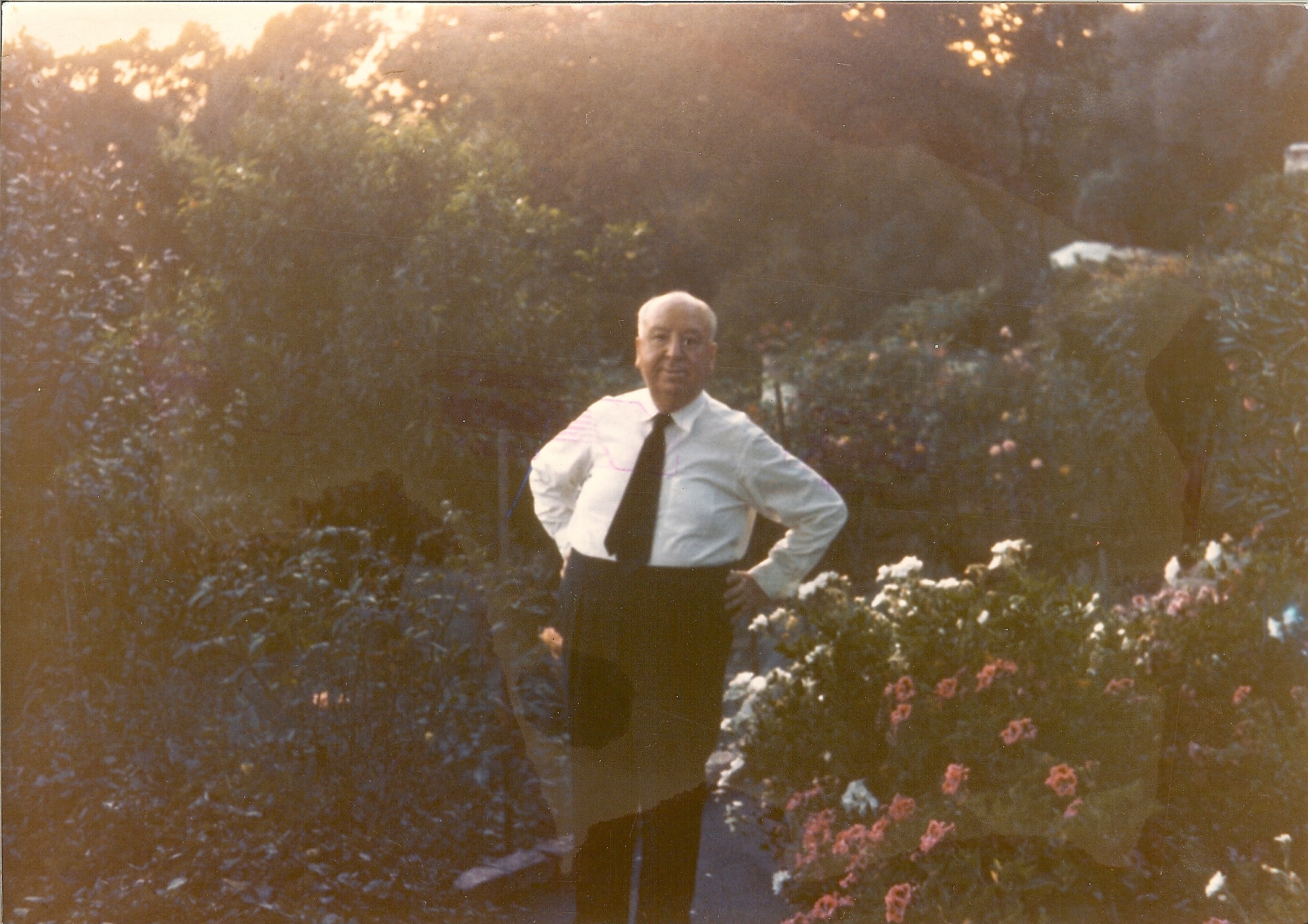 Portrait of Hitchcock standing in his rose garden