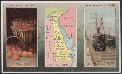Gordon A. Pfeiffer nineteenth-century Delaware trade card 