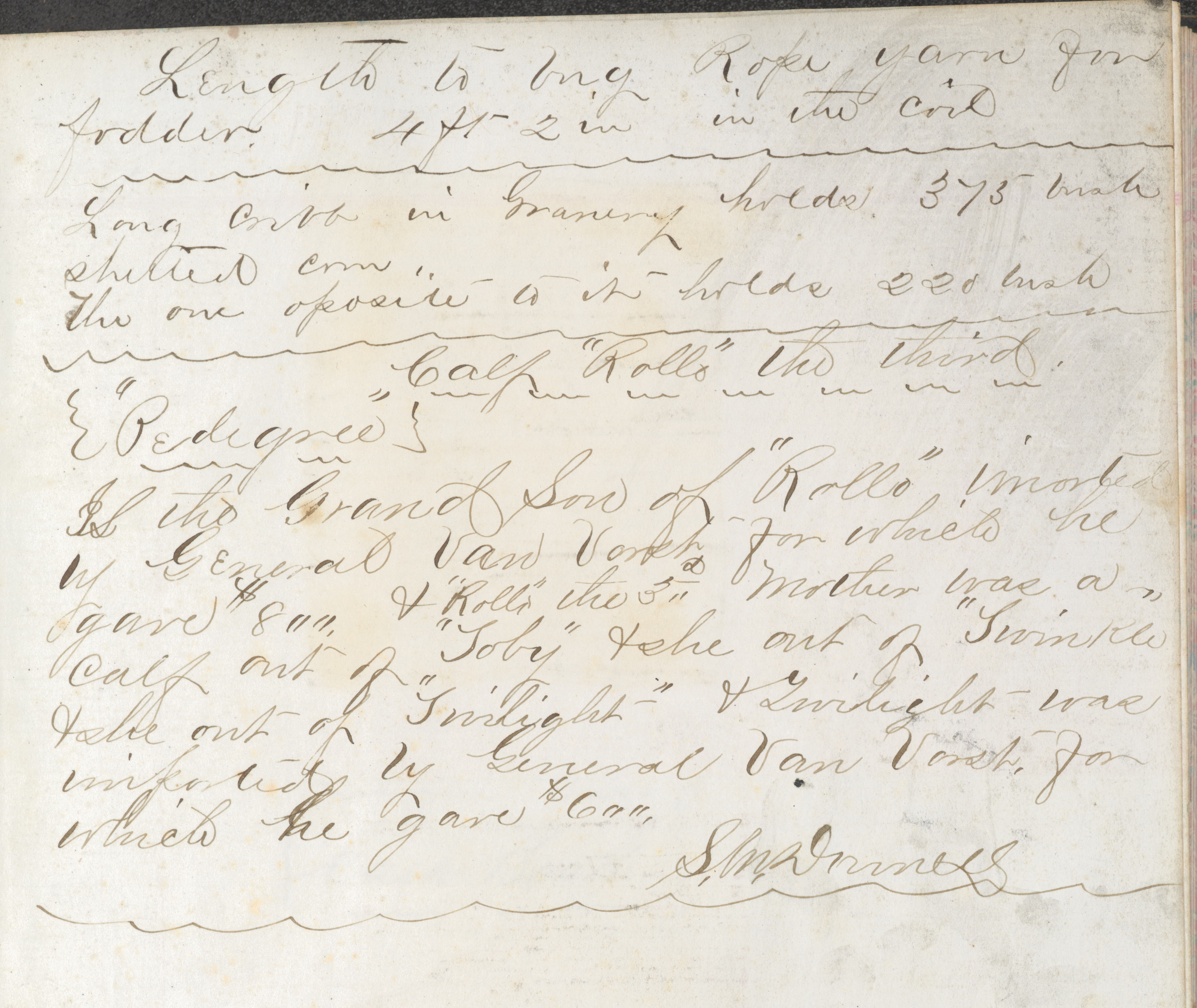 Samuel M. Donnell account books